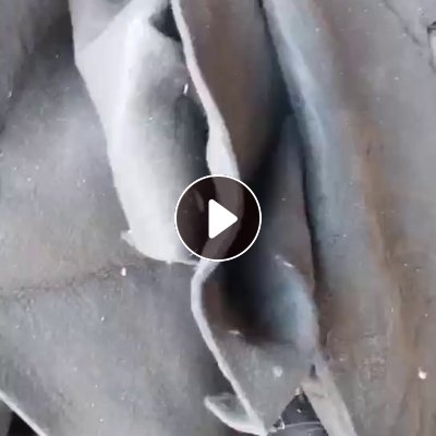 出售软的涤纶汽车内饰，现货几吨，开花用，河北唐山玉田