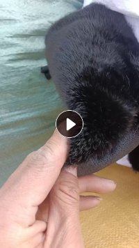 长期出售牛津拉丝布，复合布，水貂复麂皮，月供上百吨，货在浙江嘉兴