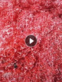 出售红色PET破碎料，现货十几吨，年供200吨，浙江湖州