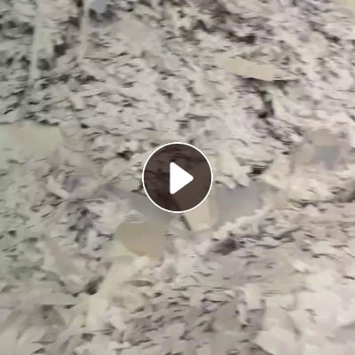 出售印钞厂下来的白纸边条