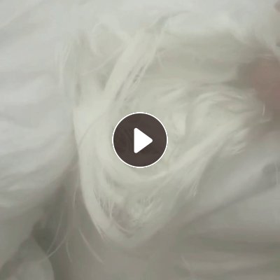 出售布袋厂下来的涤纶废丝，涤纶干丝，现货有10吨，货在浙江台州