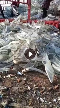 出售PC灯罩毛料,也可以破碎,月供30吨