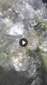 长期出售pet轻胶膜，现货够车