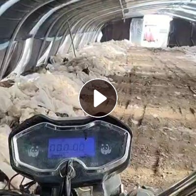 出售蘑菇袋废料，长期有货