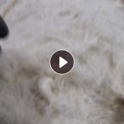 长期出售丝棉，库存服装，尾货