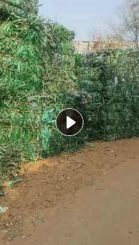 长期出售PET打包带废料