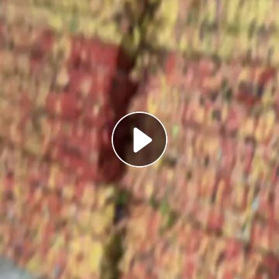 大量求购废果袋纸，要杂色的