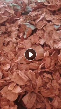 出售红色梨袋果袋纸,纯纸