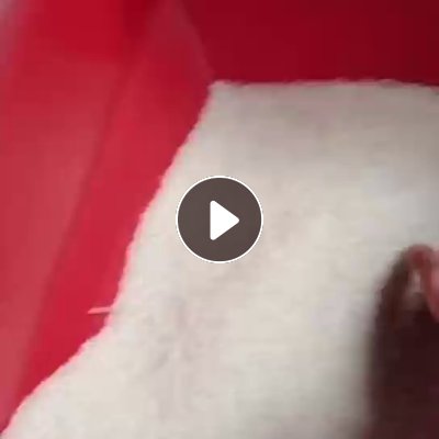 长期出售高压复合尼龙颗粒，含尼龙10%左右，吹膜用，货在浙江金华