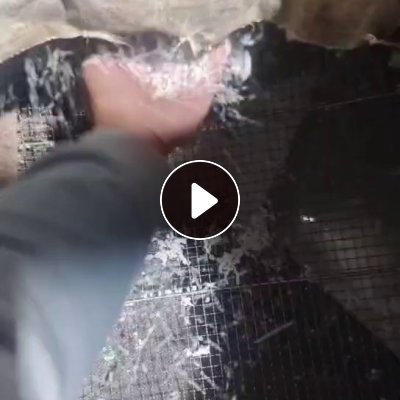 出售溶脂冲击双20的PP颗粒，白色，货在浙江金华