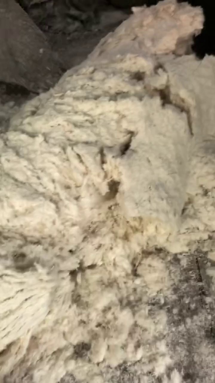 长期出售拆袄绒，羽绒，可以做50 或者老标80  90成品绒，有白色跟灰色