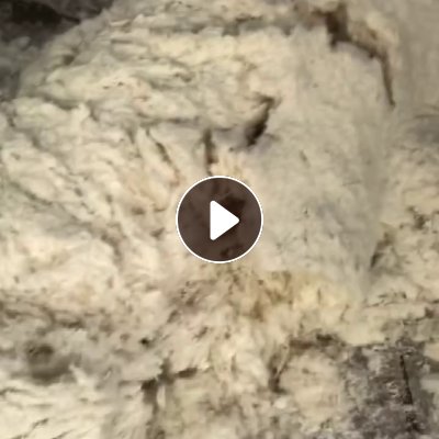 长期出售拆袄绒，羽绒，可以做50 或者老标80  90成品绒，有白色跟灰色