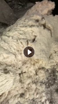 长期出售拆袄绒，羽绒，可以做50 或者老标80  90成品绒，有白色跟灰色