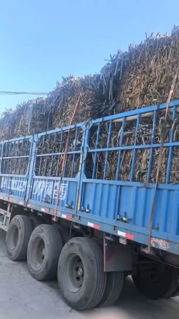 长期出售滴灌带废料