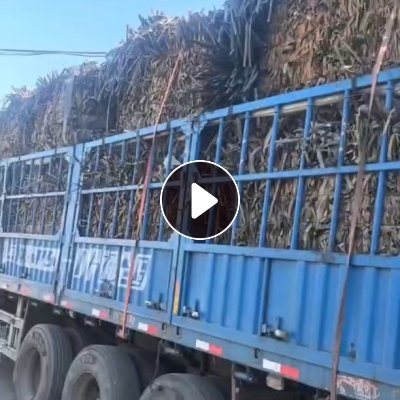 长期出售滴灌带废料