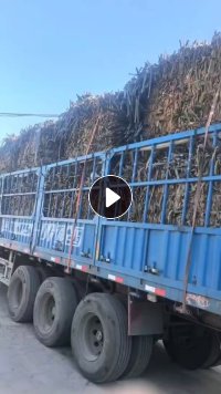 长期出售滴灌带废料