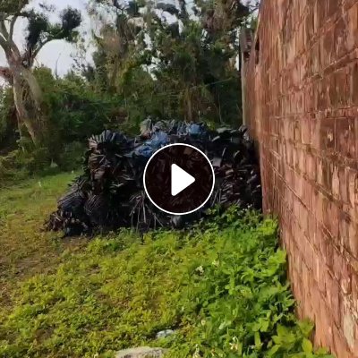 出售LDPE滴灌带废料，月供几十吨