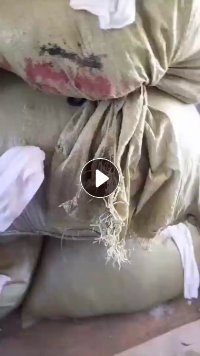 长期出售锦氨边带和涤氨废布，厂在山东青岛