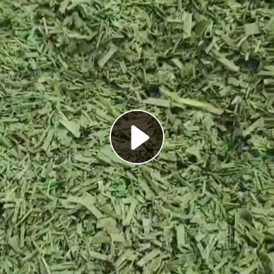 出售干粉PET打包带破碎料，月供七八十吨