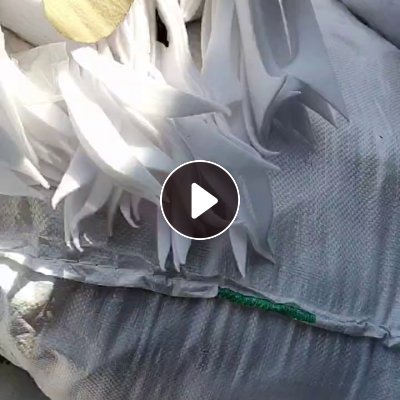 出售白色涤纶废布，涤纶碎布，涤纶造粒布，现货有6.8米一车，货在山东青岛