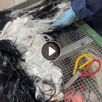 出售涤纶高弹丝，涤纶废丝，涤纶丝，颜色混一起，可以纺丝，现货有20吨左右，货在浙江绍兴