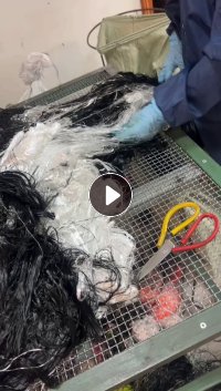 出售涤纶高弹丝,涤纶废丝,涤纶丝,颜色混一起,可以纺丝,现货有20吨左右,货在浙江绍兴