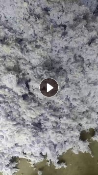 长期出售胸罩里面的海绵加工提炼出来的，涤棉材质的白色。一个月30多吨货，厂在辽宁葫芦岛