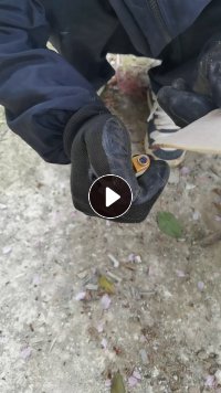 长期出售锂电厂下来的滤袋，除尘袋，月供5吨左右