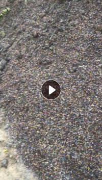 出售电容破碎料