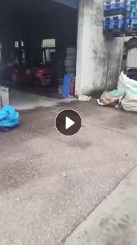 长期出售pet吸塑盒破碎料