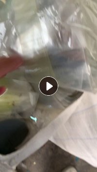 出售PET膜废料,中间带胶布,有宽有窄,现货40吨,造粒或者做扫把丝
