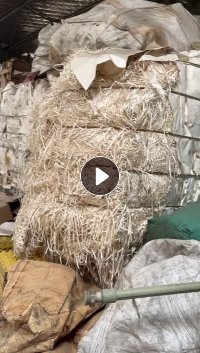 出售纯白口杯纸，有压包和卷筒料，长期有