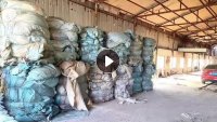 出售PE大棚膜废料,现货够挂车