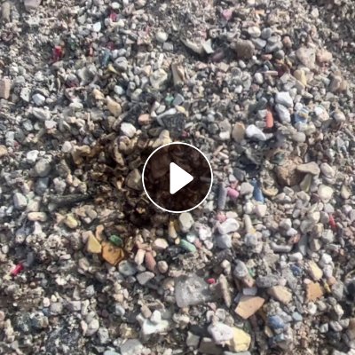 出售PVC盐底料，摇筛料，PVC含量80%左右，现货两三挂