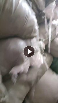 长期出售带桨涤纶废布，多数是白色涤纶废布，还有点米色，香槟色，只能开花用，现货有40吨，货在安徽六安