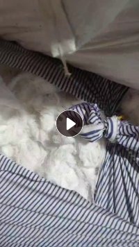 长期大量出售漂白的布边纱，纯棉和涤棉的混在一起卖了