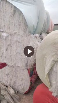 长期出售开花好的枕芯棉，再生棉，现货五六吨