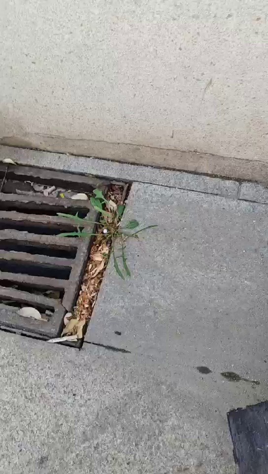 出售聚合abs光伏板毛料，月供300吨