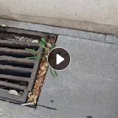 出售聚合abs光伏板毛料，月供300吨