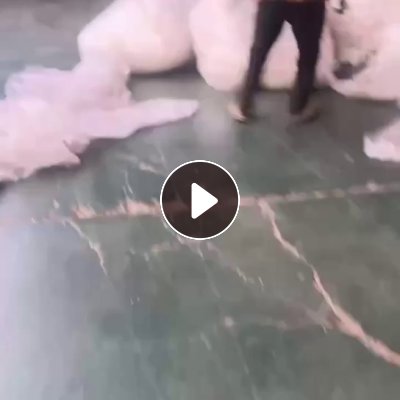 出售干造高压膜废料，高压膜和平板膜混打，平板膜85%，现货够挂车