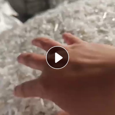 出售透明丙破碎料，饭盒破碎料，过两道风选，月供几十吨