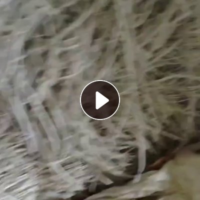 出售塑料炼油料