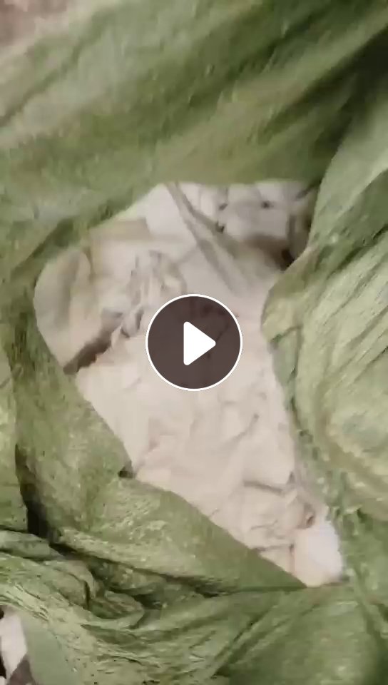 长期出售纯棉废布，有白色，浅色和老色，每个月有几十吨，货在广东揭阳