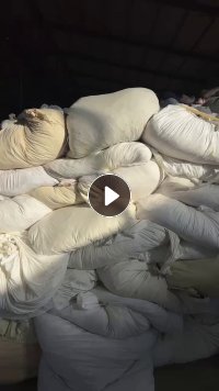 长期出售被子上拆下来的纯棉白布，白色大布块，棉布，百分之90以上纯棉，部分涤棉，现货30吨左右