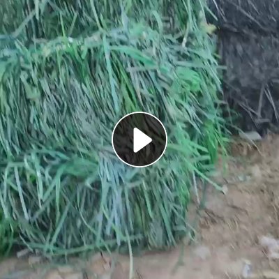 长期出售PET打包带废料