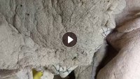 长期出售古棉,纯棉棉被
