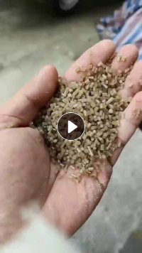 出售EPS茶透颗粒,过60目,现货一挂