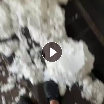 长期出售涤纶毛毛料，含水20左右，现货几十吨，厂在浙江湖州