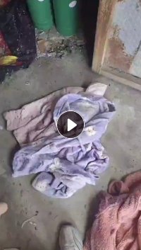 长期出售剪好的毛绒睡衣料，涤纶睡衣料，涤纶造粒布，现货20吨左右