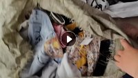 长期出售旧衣服统货,县城货,未动手,现货有11吨,货在江西赣州